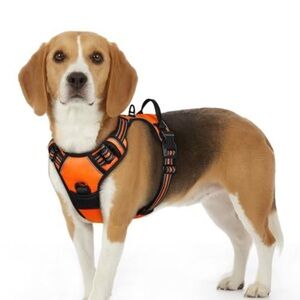 Orange Dog Harness